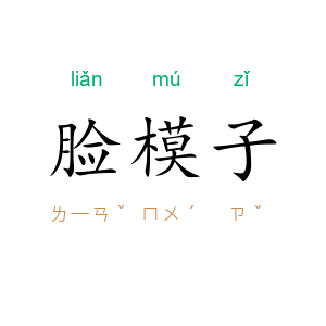 脸模子