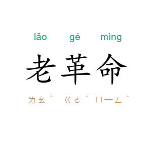 老革命
