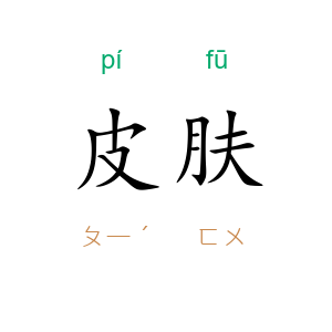 皮肤