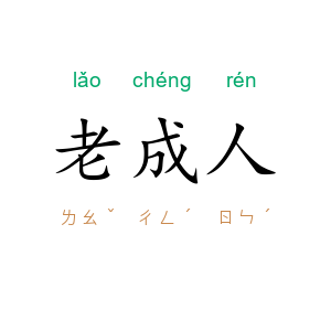 老成人