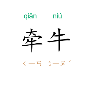 牵牛
