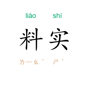料实
