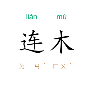 连木
