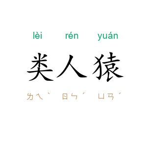 类人猿