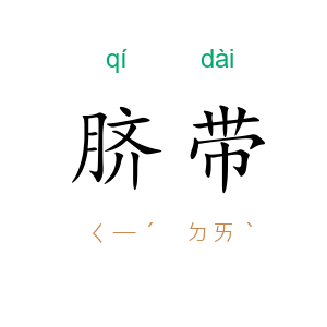 脐带