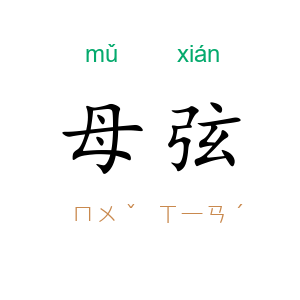 母弦