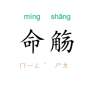 命觞