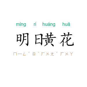 明日黄花