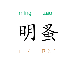 明蚤