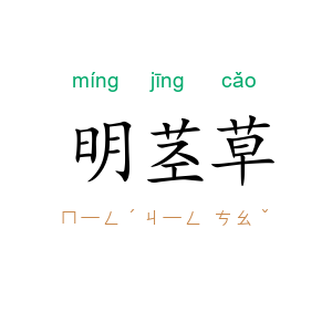 明茎草