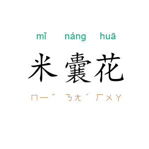 米囊花