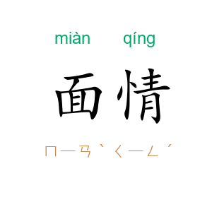面情