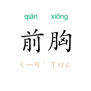 前胸