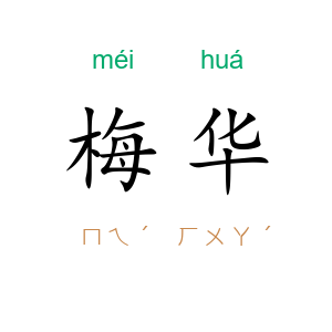 梅华