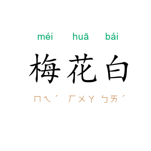 梅花白