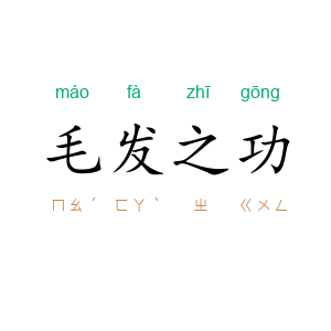 毛发之功