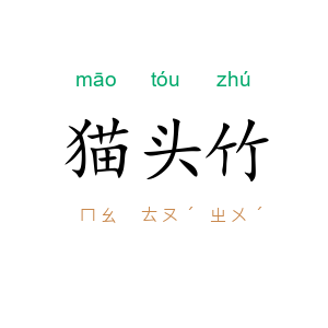 猫头竹