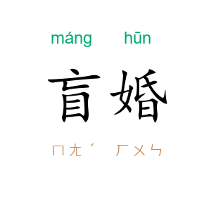 盲婚