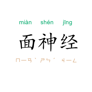 面神经