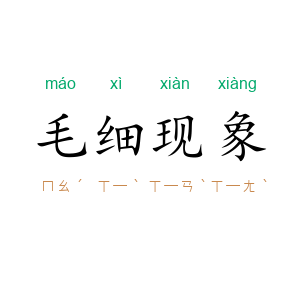 毛细现象
