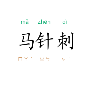 马针刺