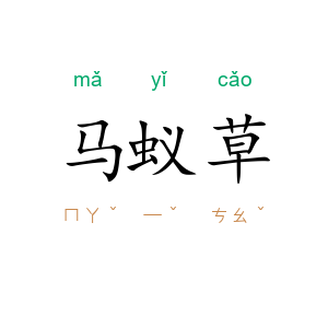 马蚁草