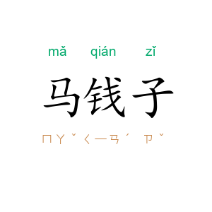 马钱子