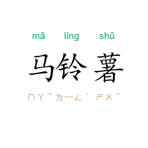 马铃薯