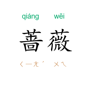 蔷薇