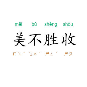 美不胜收
