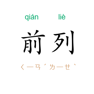 前列