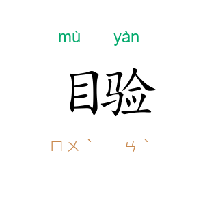 目验
