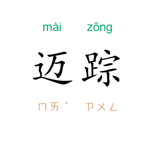 迈踪