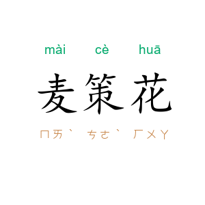 麦策花