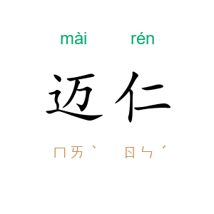 迈仁