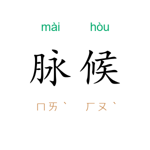 脉候