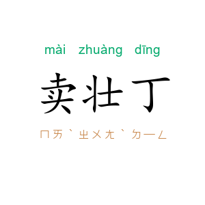 卖壮丁