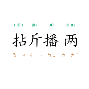 拈斤播两