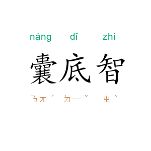 囊底智