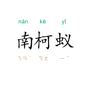 南柯蚁
