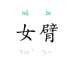 女臂