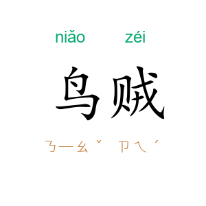 鸟贼