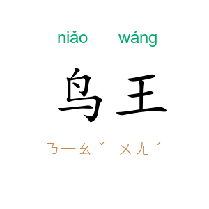 鸟王