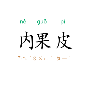内果皮