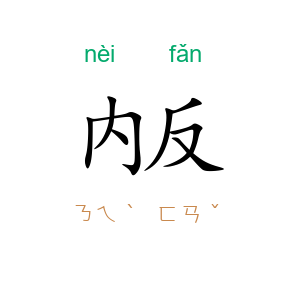 内反