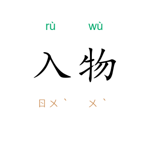 入物