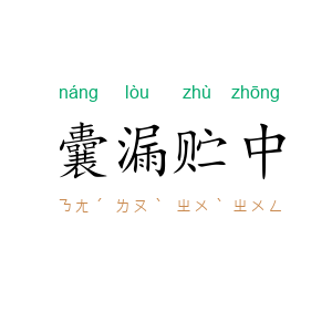 囊漏贮中