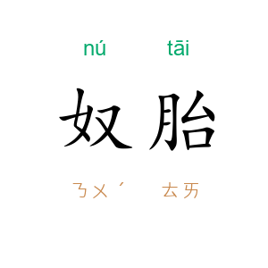 奴胎