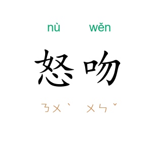 怒吻