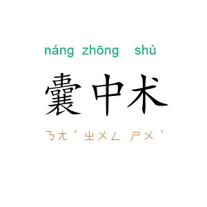 囊中术